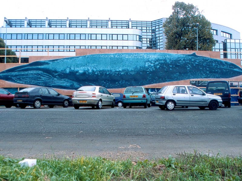 fresque monumentale street art