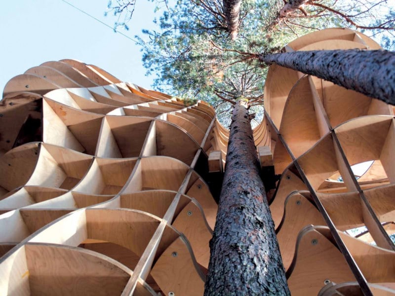 auberge dans les arbres